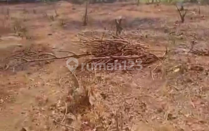 Land in Kejayan Pasuruan