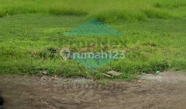 JUAL KAVLING KERTAJAYA INDAH JUAL KAVLING KERTAJAYA INDAH