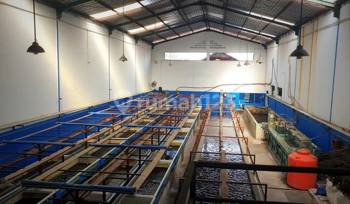 For Sale Flood-Free Warehouse in Kapuk Kamal Area 645 sqm