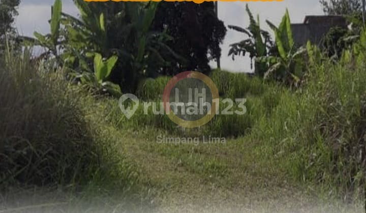 Tanah 3300 m2 HGB Sidorejo, Salatiga