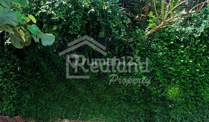 Tanah Hm, View, 4030 M2 di Pringsurat, Temanggung Si 6399 Tanah Hm, View, 4030 M2 di Pringsurat, Temanggung Si 6399