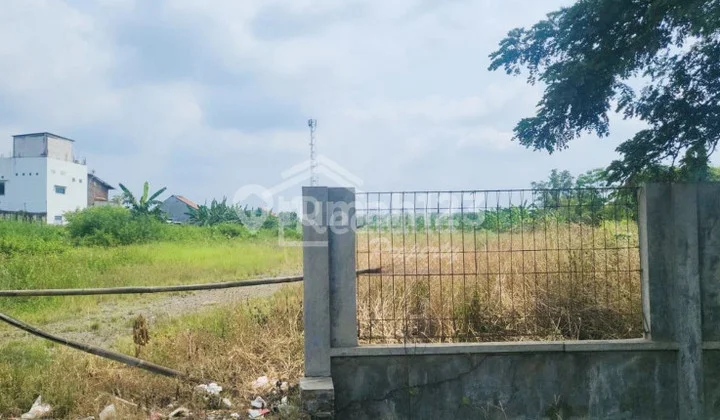 Tanah di Pantura Brangsong , Kendal Me 6359