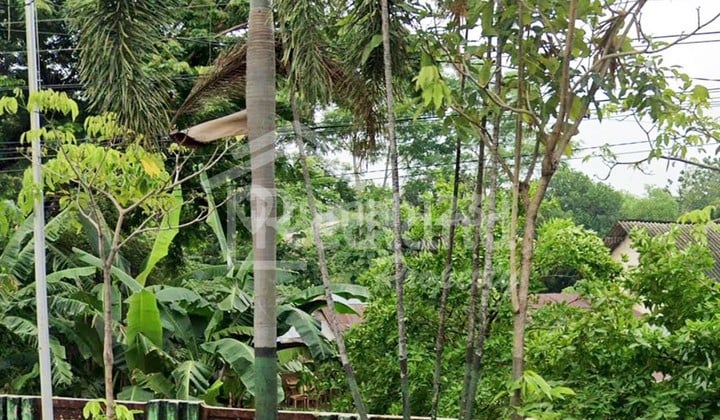 Land at Raya Senenan, Jepara, SI 6739 Land at Raya Senenan, Jepara, SI 6739