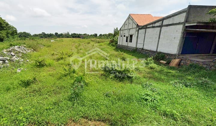 Land in Telaga Gedong, Weleri Code 6832