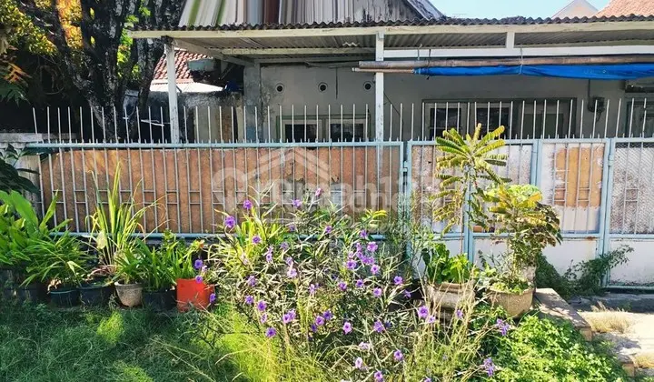 Tanah di Rejomulyo , Semarang ( Si 6988 )