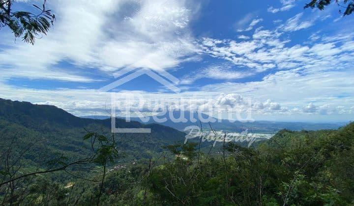 Tanah di Sepakung , Banyubiru Semarang ( Si 8664 )