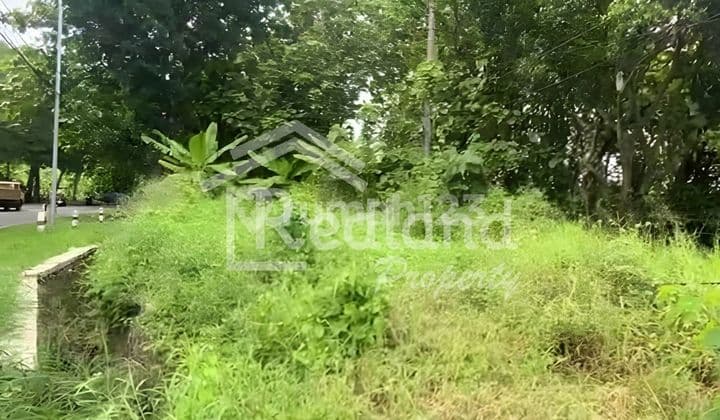 Land in Hutan Sentul Gringsing, Batang (Si 8374)