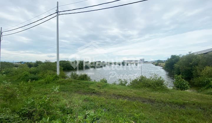 Tanah di Daerah Kaliwungu , Kendal Si 7382