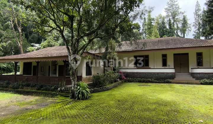 Di Jual Villa di Jalan Taman Safari Cisarua Bogor