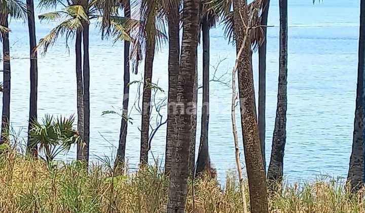 Rare Item Absolute Cliff Front Land Seraya Karangasem Bali 375m2 Amazing Ocean View