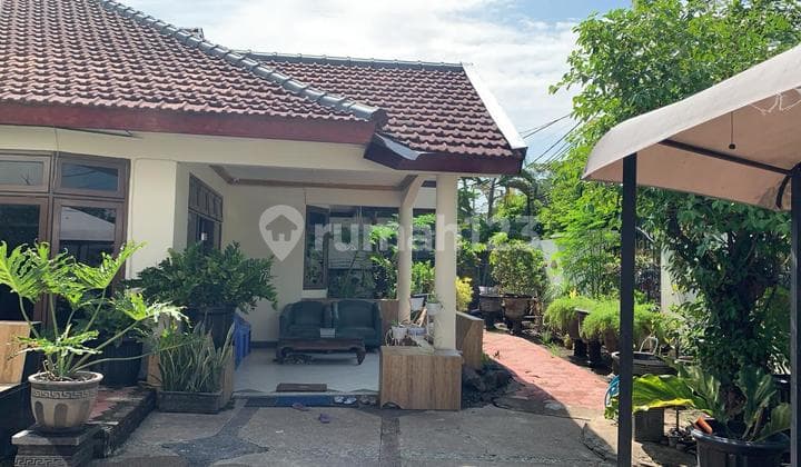 TAWAR SAJA SAMPAI DEAL Rumah Jemur Andayani Surabaya 2 Kavling Gandeng 600m2 Terawat 2 Lantai Cocok Utk Keluarga Besar / Kantor
