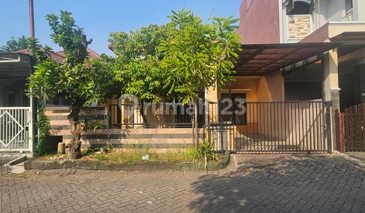 FLASH SALE BUTUH UANG Rumah Siap Huni Palm Spring Regency Jambangan Surabaya 9x20 SHM Bagus Terawat Murah