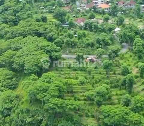 Unblocking Ocean View Kavling Cliff Front Seraya Karangasem Bali 690m2 Last Unit Colelctor Item