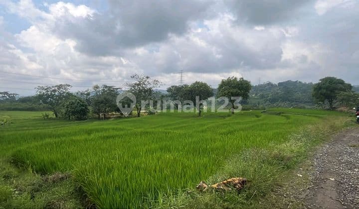 Tanah Cocok Utk Bangun Villa / Cafe-Pg