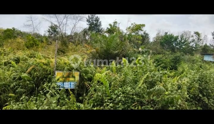 Dijual Tanah Komersial Dipinggir Jalan Palangkaraya
