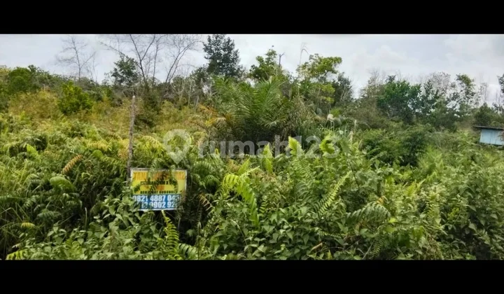 Dijual Tanah Komersial Dipinggir Jalan Palangkaraya