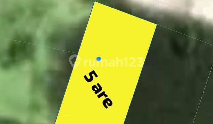 Tanah Strategis Datar Siap Bangun di Gn. Talang, Padangsambian