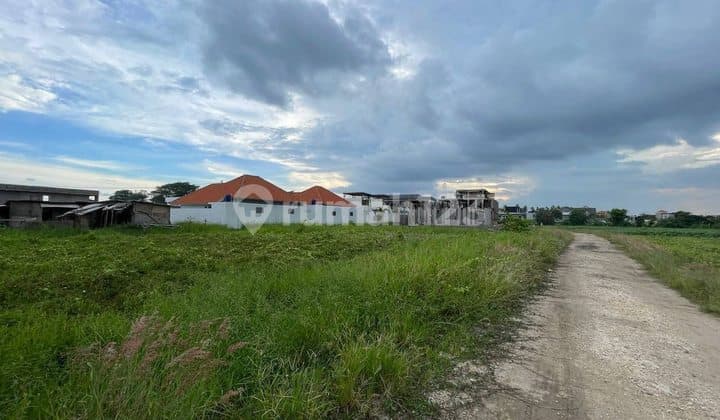 Tanah Zona Pink Special Price Strategis Dekat Pantai di Seseh