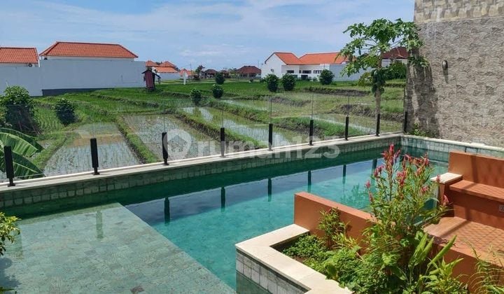Villa 3BR Rice Field View Near Canggu Beach Badung - Bali