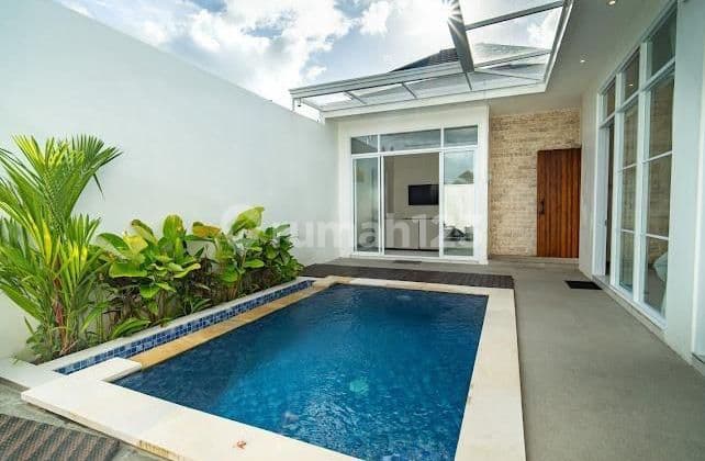 Villa Baru Lokasi Strategis Ada Kolam Renang di Lodtunduh