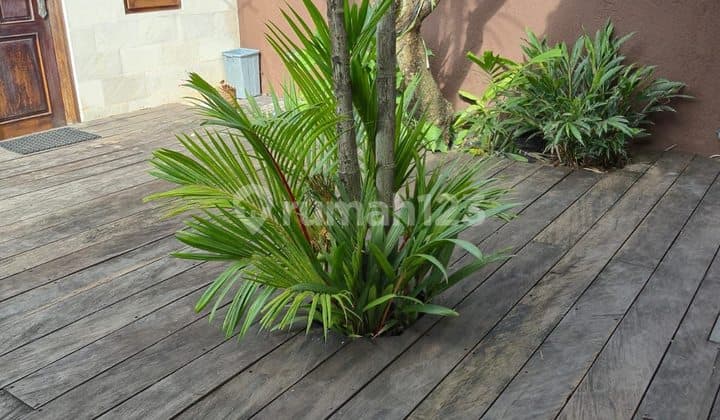 Villa 3 Kamar Lokasi Strategis Premium Ada Pool Garasi di Umalas