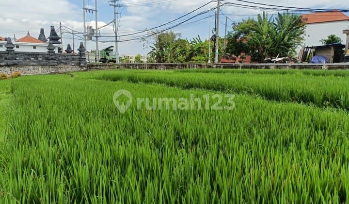 Tanah Area Komersial Strategis di Jalan Utama Cocok Resto, Cemagi