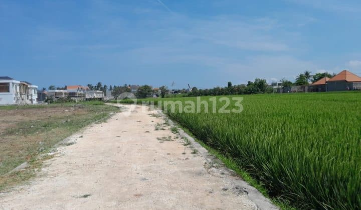 Tanah Dekat Pantai Luas Strategis bisa Sebagian Zona Pink, Seseh
