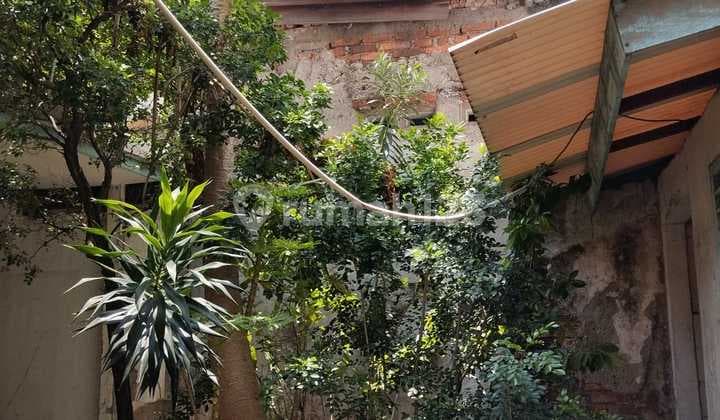 Kebon Kacang Dijual Rumah Cepat Rumah Siap Huni