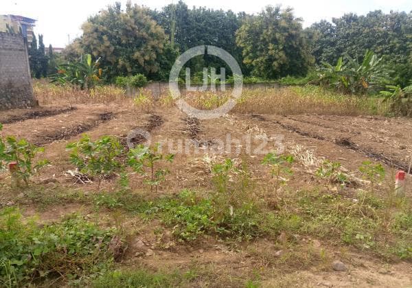 Plot in the Sendangmulyo Area