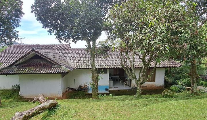 Di Villa Cantik Di Puncak Fully Furnished Jati Luas 13.000