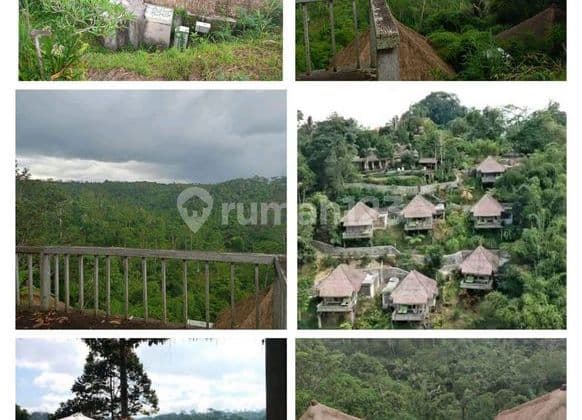 Land For Sale 80 Are Former Resort In Ubud