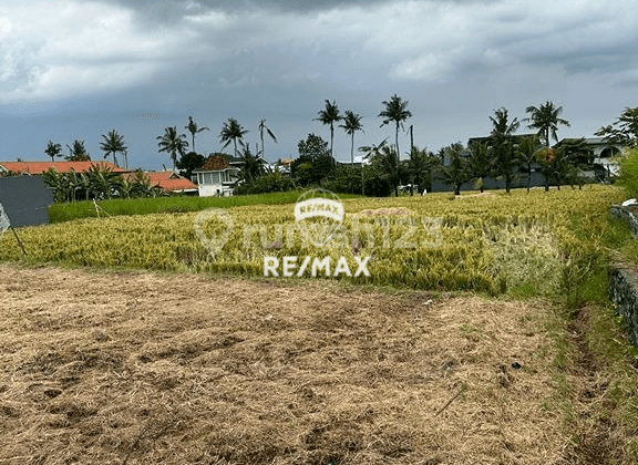 Land 5 Are For Leasehold 30 Years In Seseh Strategic And Peaceful Location