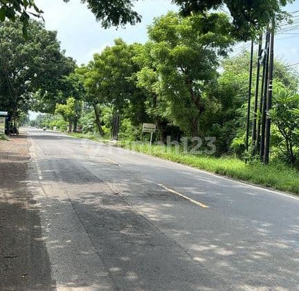 Land For Sale 20 Are In Pemuteran, Buleleng