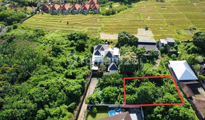 Dijual Tanah Murah 6 Are Batuan Sukawati