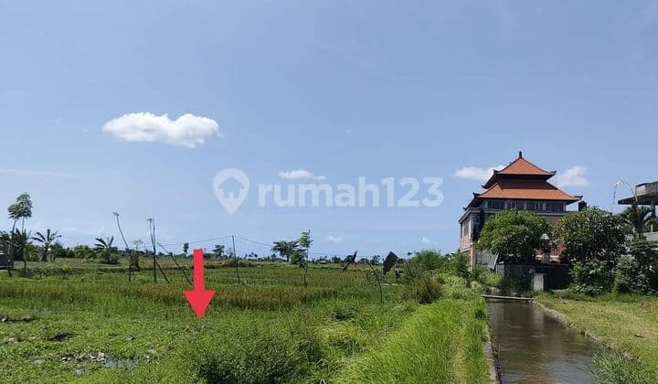 20 Menit ke Ubud, Sewa Tanah 5 Juta/Are/Th, Celuk Sukawati