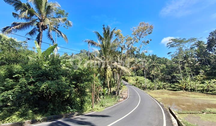 Tanah View Jungle, Sawah dan Los Sungai Ubud