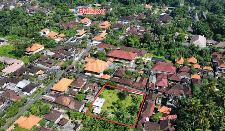 9.3 Are Tanah Dekat Balizoo Singapadu Gianyar