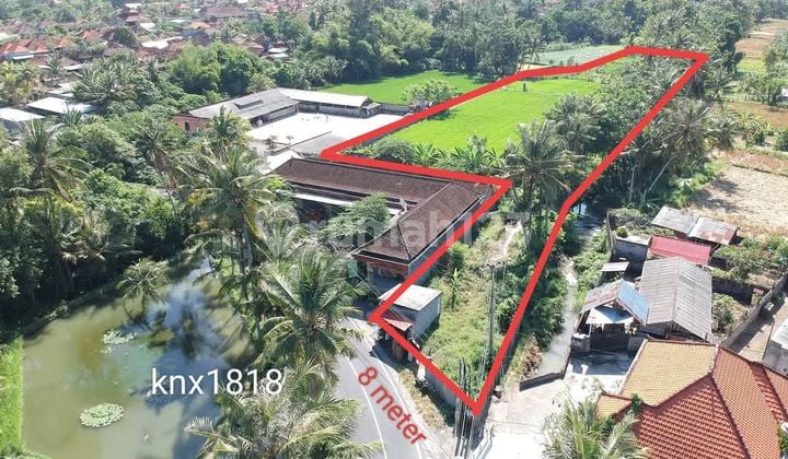 Jual Murah Tanah Pinggir Jalan Saba Gianyar Bali