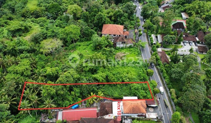 15 Are Pinggir Jalan Raya Goa Gajah Ubud