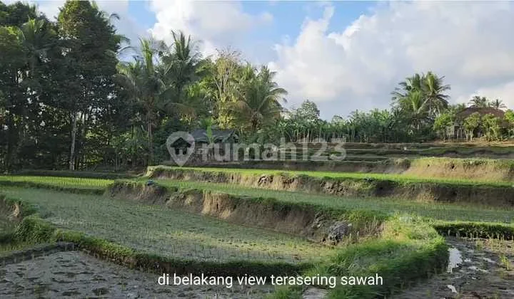 Super Rare Plot... Small 4.5 Are Commercial Land for Sale on the Main Highway at Capella Resort Ubud, Gianyar Bali