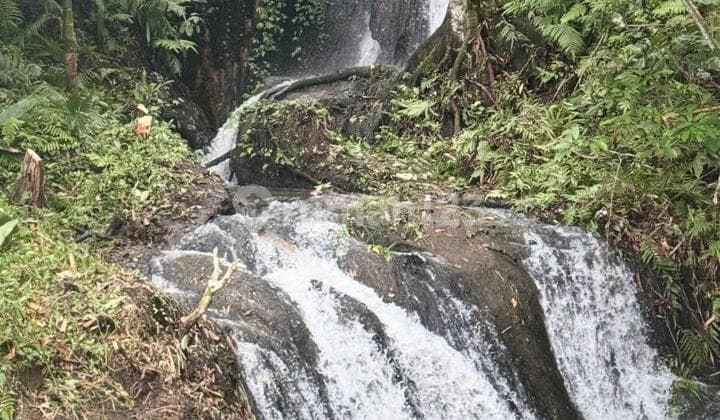 Land View Waterfall, Jungle, Rice Fields Ubud