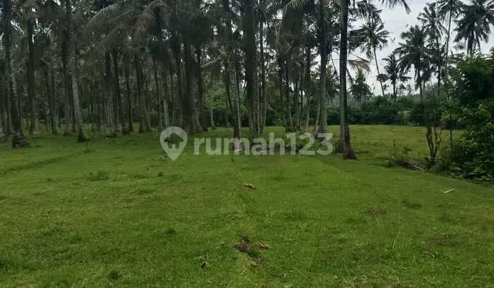 Tanah Siap Bangun SHM, Hanya 15 Juta/Are di Tabanan