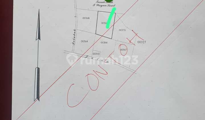 Canggu Co-Living Investment (villa D) - 6 Ensuite Rooms, Shared Pool, 25-Year Leasehold (Extendable), PMA Ready, ROI 12-13%, Negotiable Price