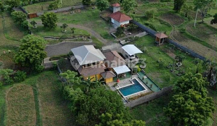 Villa Bagus 2 Tulamben - Divers' Paradise: 30-Are Property with Epic Dual Views (Mount Agung & Beach)
