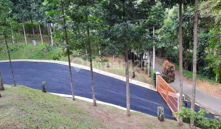 Tanah di Jalan dalam wangi ciumbuleuit dago giri bandung