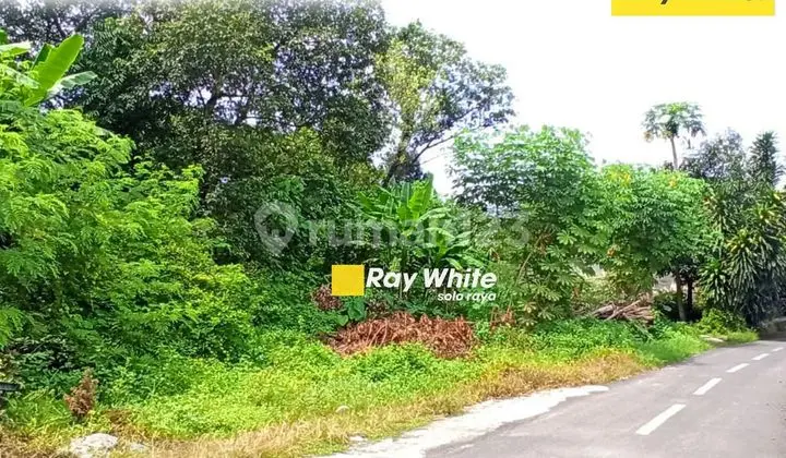 Tanah pekarangan kartosuro Tanah
