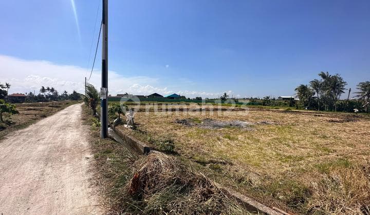 27 Are, Kavling Bali, Seseh Lease Hold 25th