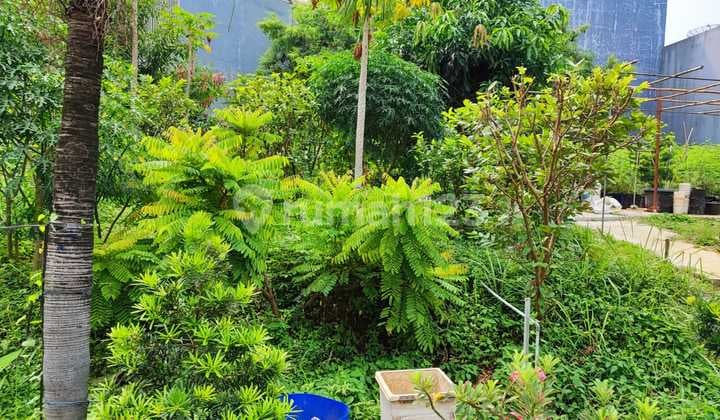West Beautiful Lake House Plot Sunter 980m SHM, South, North Jakarta