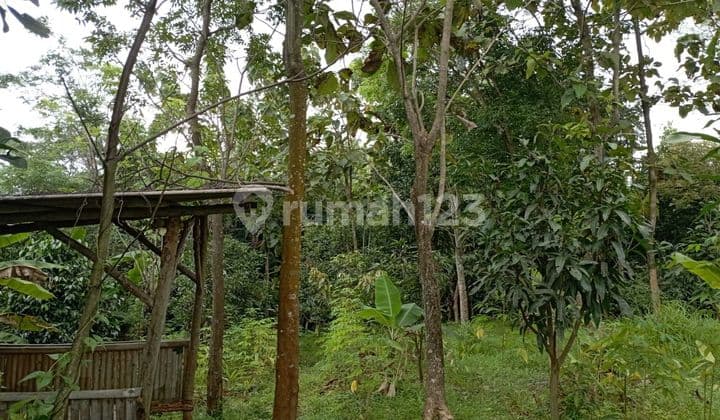 Jual tanah sebelah perumahan BCA kec. Sukahaji kab. Majalengka