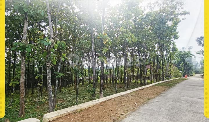 Dijual Tanah Pekarangan Harga Murah Di Sragen Cocok Untuk Invest